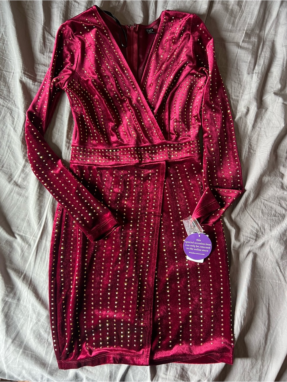 Windsor Burgundy Velvet Studded Mini Dress